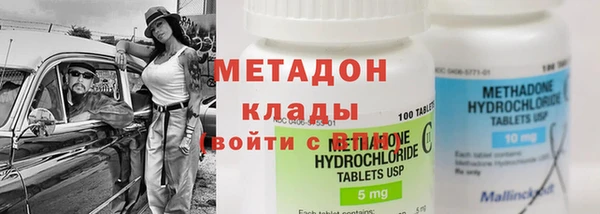 гидра Богданович
