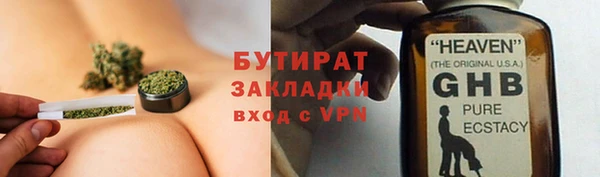 гидра Богданович
