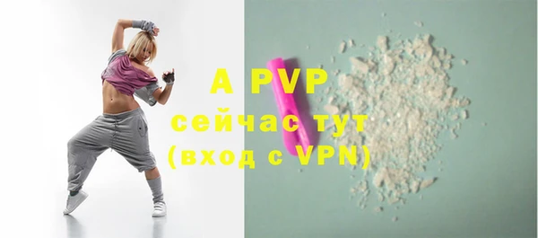 гидра Богданович