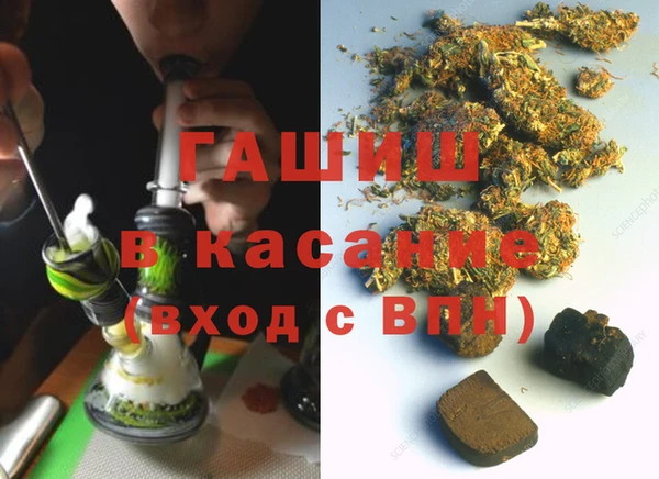 гидра Богданович