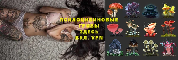 молекула духа Богородск