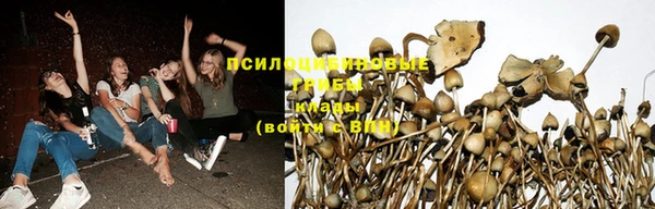 гидра Богданович