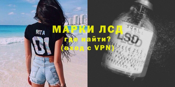 гидра Богданович
