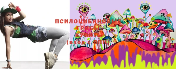молекула духа Богородск